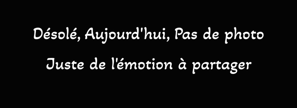 25 – Aujourd’hui, pas de photo, juste de l’émotion à partager – Désolé.